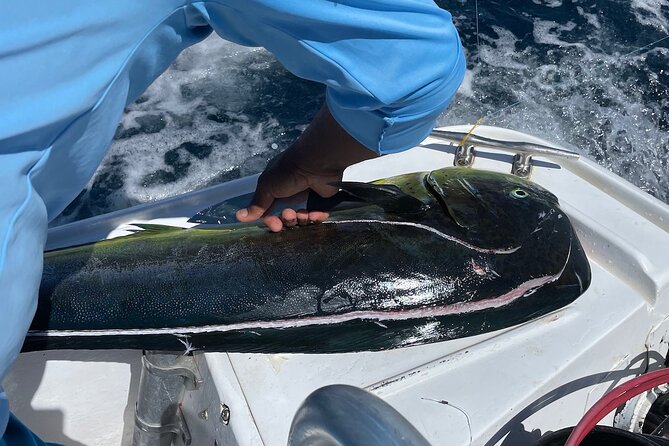 Full Day Sport Fishing Private Charter Flamingo Costa Rica - Whats Included in Your Charter