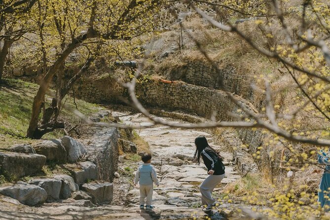 Full Day Suwon Hwaseong and Yellow Spring Flower Festival Tour
