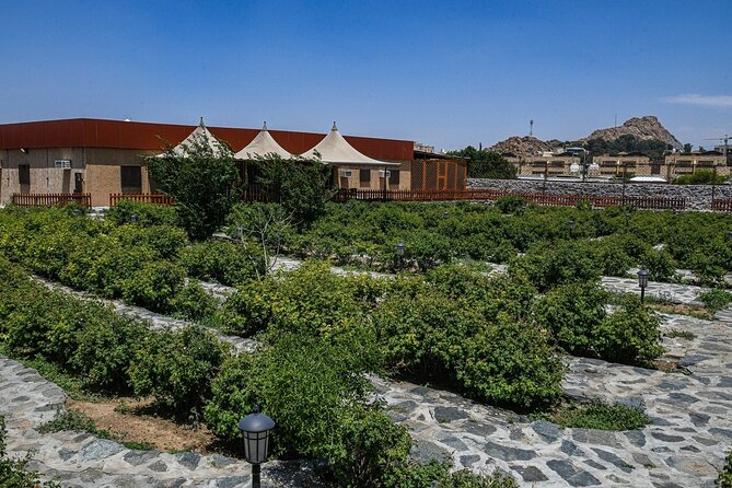 Full Day Taif Tour With Lunch