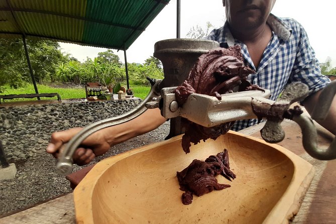 Full Day to Ecological Reserve Churute Mangrove and Cacao Farm Visit