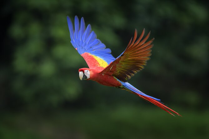 Full Day Tour Around Minca (From Santa Marta)