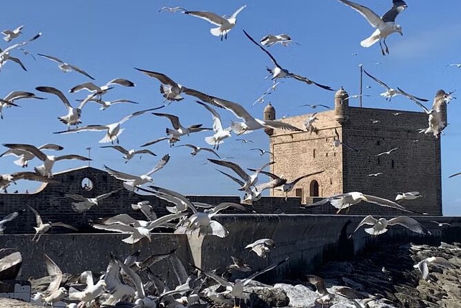 Full Day Tour From Marrakech to Essaouira - Tour Overview