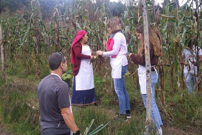Full Day Tour in Ancestral Indigenous Communities of Otavalo - Tour Itinerary