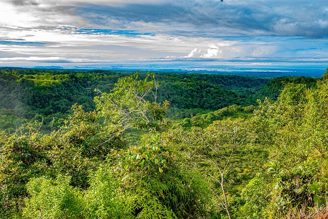Full-Day Tour in Chiriqui Highlands With Lunch