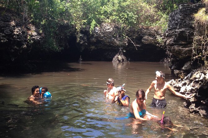 Full - Day Tour Mnemba Island With Baraka Aquarium - Tour Location and Inclusions