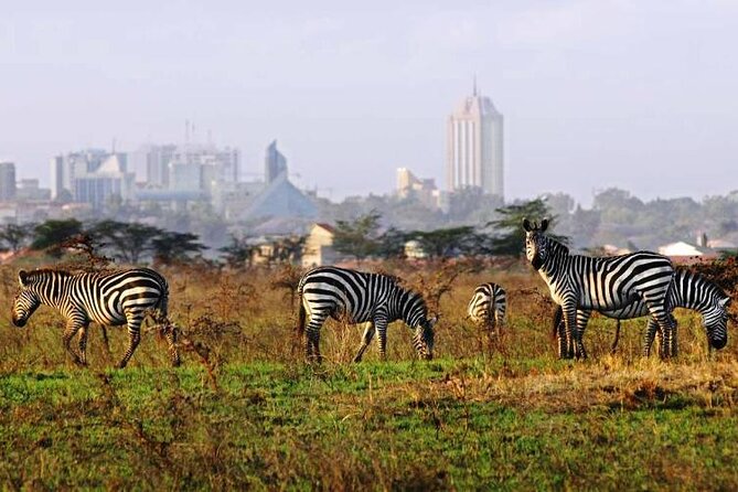 Full Day Tour Nairobi National Park, Giraffe Center ,Karen Blixen - Pickup Details
