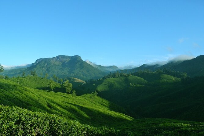 Full Day Tour Of Munnar With Lunch