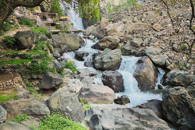 Full Day Tour to Atlas Mountains in Imlil Valley - Languages Spoken and Camel Ride