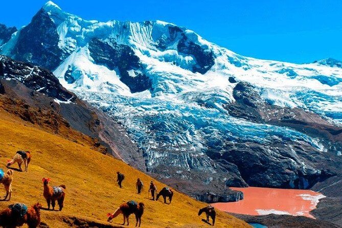 Full Day Tour to Ausangate 7 Lagoons - Tour Overview