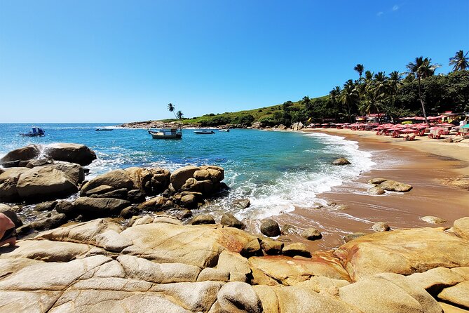 2 Best Full-Day Tours In Recife