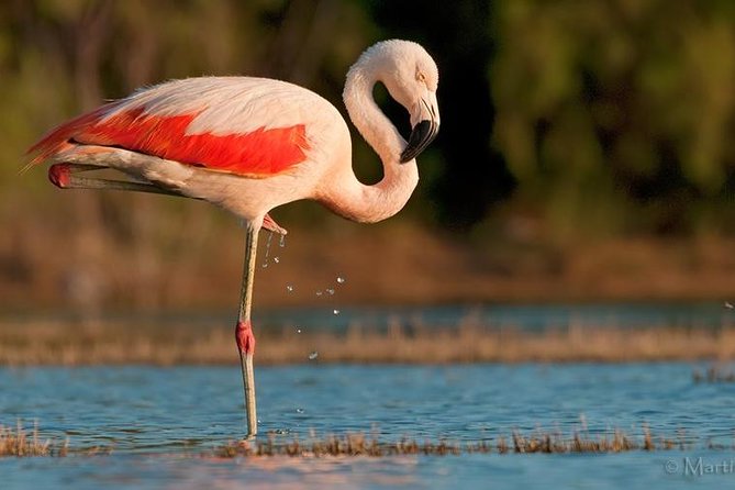 Full-Day Tour to Laguna De Los Pozuelos From Tilcara - Tour Inclusions