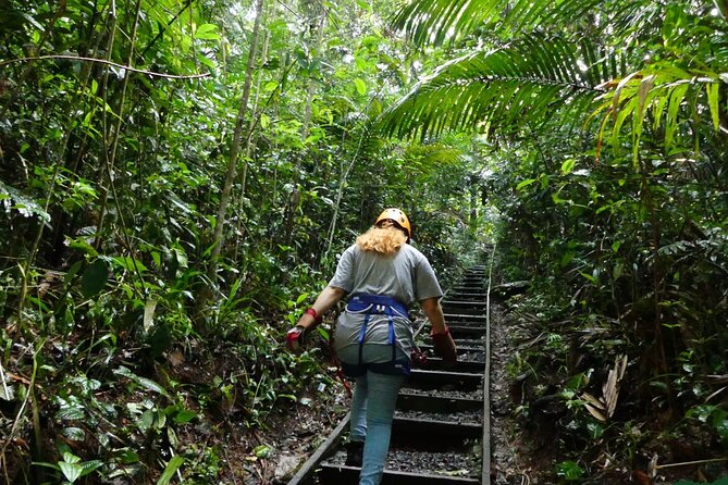 Full Day Tour to Miraflores Gates and Gamboa Zip Line - Tour Highlights
