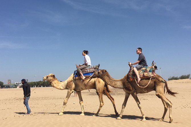 Full Day Trip To Essaouira Mogador From Marrakech - Visit to Local Attractions