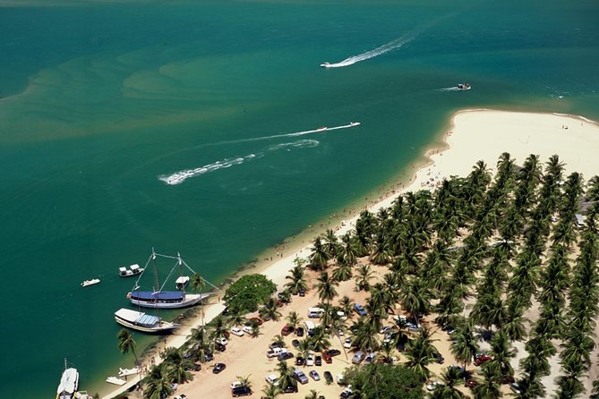 Full Day Trip to Gunga Beach From Maceió - Tour Details