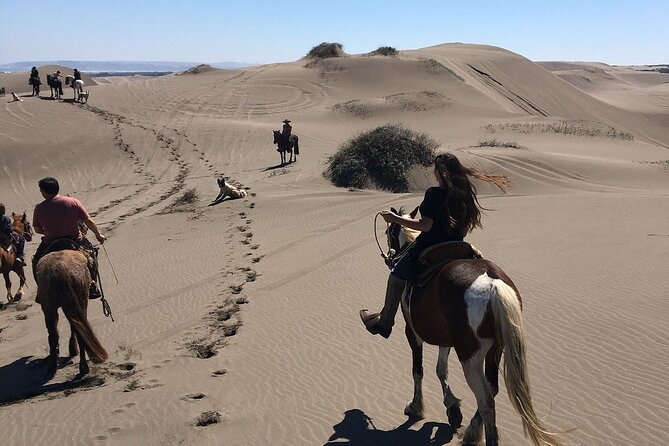 Full Day Valparaiso, Winery ,Dunes Horse Ridding & BBQ – Santiago