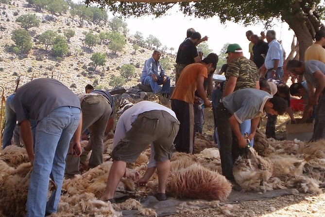Full Day Visit With Family the Highland Pastures of Psiloritis - Tour Highlights