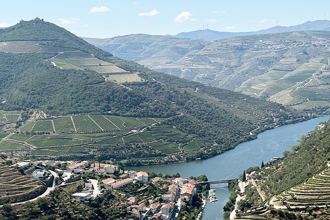 Full Day Wine Tour and River Cruise at Douro Valley - Tour Highlights