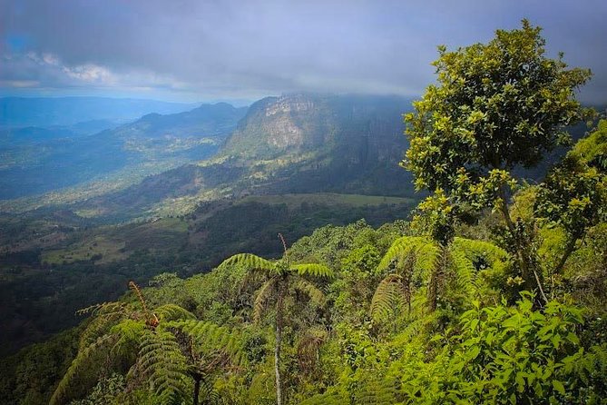 Full Day Zipaquira Salt Cathedral and Guatavita Lake Tour (near Bogota) - Itinerary Highlights