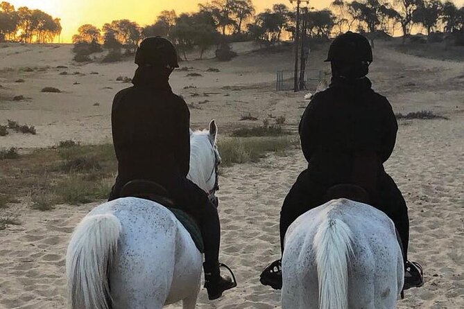 Full Moon Horse Riding in Dubai - Location Details