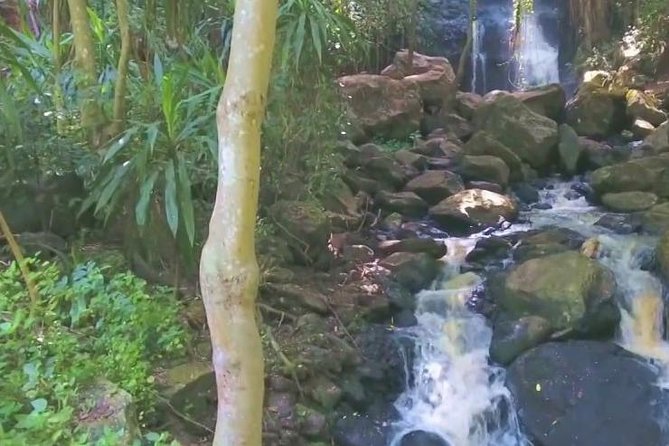 Full Paradise Lost Recreational Day