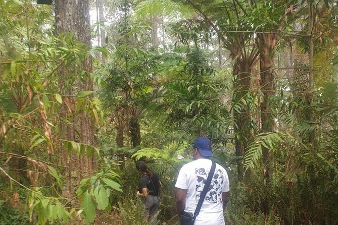 Fullday Hiking Mount Salak Active Volcano in Sukabumi
