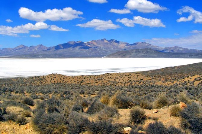 Fullday: Salinas Lagoon From Arequipa