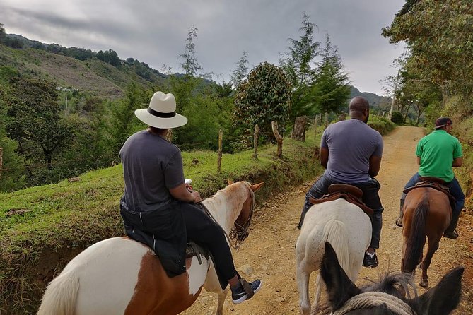 Fun Horse Rides Near Bogota - Cancellation Policy Information