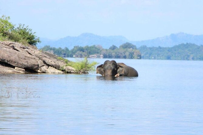 Gal Oya Safari and Vedda Safari Day Trip From Pasikuda/Kalkuda - Meeting and Pickup Details