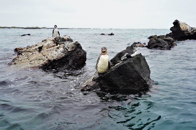Galapagos Multisport Expedition 8 Days - Meeting and Pick-Up Details
