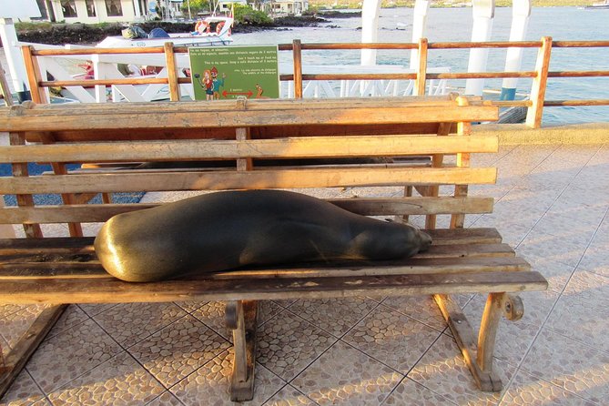 Galapagos Surprising 4 Days - Tour Itinerary Highlights