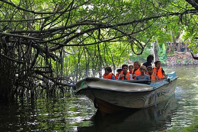 Galle Day Trip With Mangrove Safari From Colombo - Whats Included