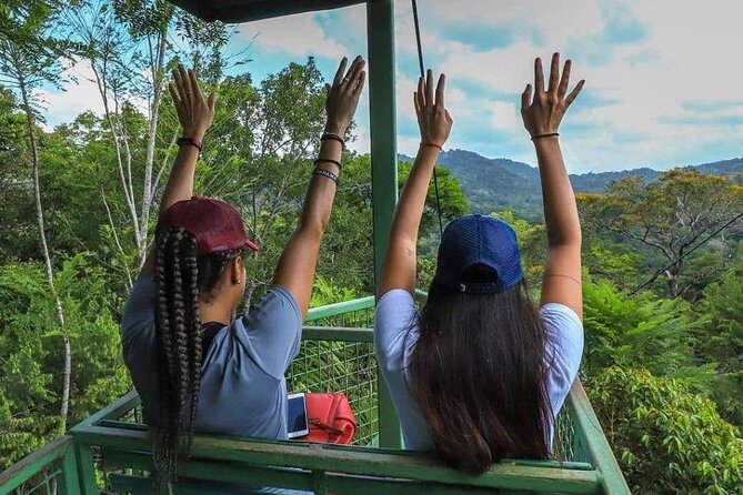 Gamboa Aerial Tram & Sloth Sanctuary From Panama City Combo Tour - Overview of the Tour
