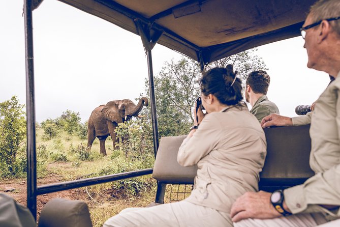 Game Drive in the Zambezi National Park – Victoria Falls