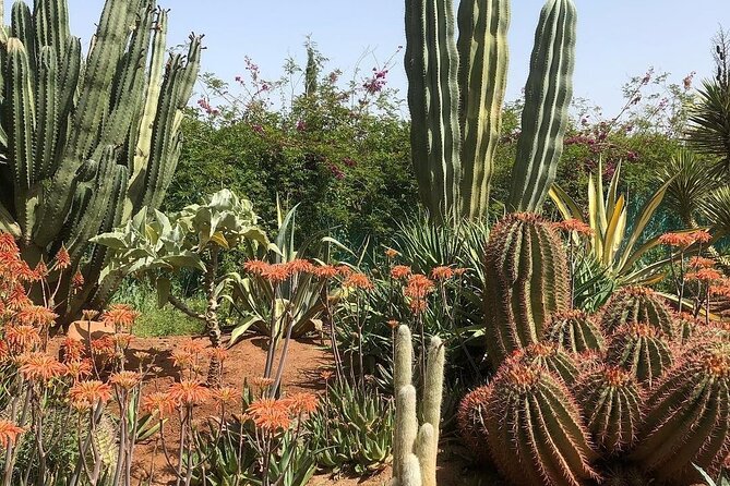 Garden Anima and Atalas Mountain Tour From Marrakech