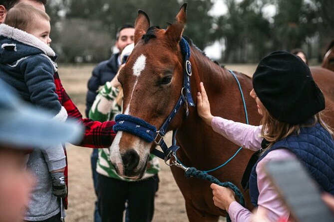 Gaucho Day Tour La Candelaria Estancia From Buenos Aires