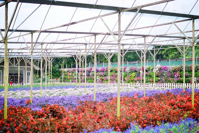 Genting Highland Tour Include 2-Way Cable Car Ride - Pickup Information