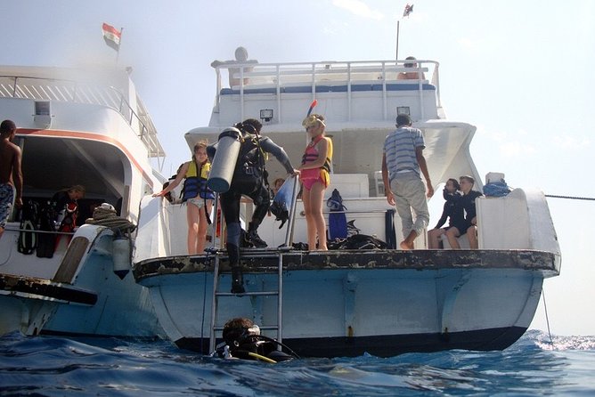 Get up Close to Dolphins on This Fantastic 9-Hour Snorkel Trip From Hurghada - Trip Details