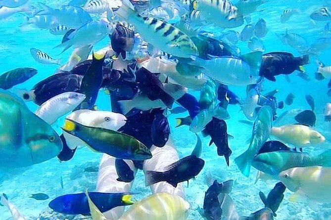 Gili Asahan Snorkeling Tour