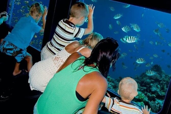 Glass Bottom Boat in Sharm El Sheik