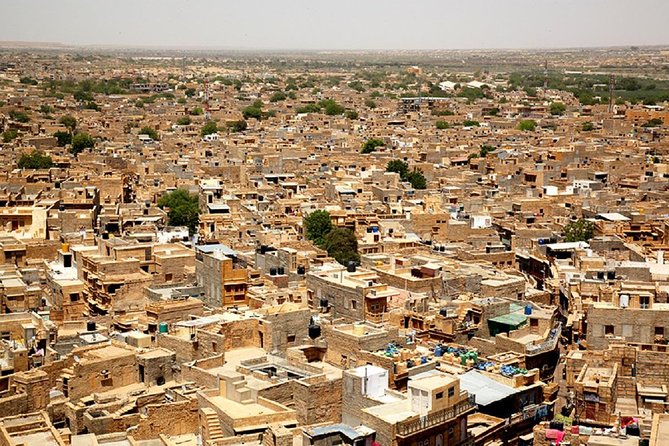 Golden Sweets in the Golden City in Jaisalmer