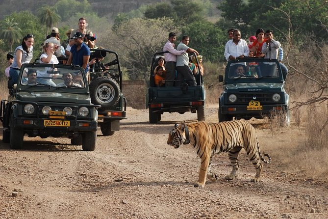 Golden Triangle Tour With Leopard Safari (Taj Mahal at Sunrise)