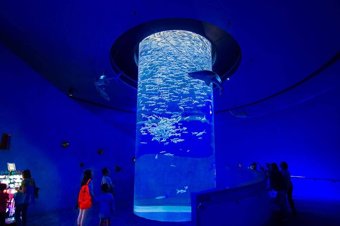 Grand Aquarium With Transfer From Hurghada - Tour Details