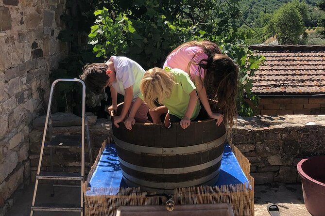 Grape Stomping Experience and Wine Tasting - What to Expect