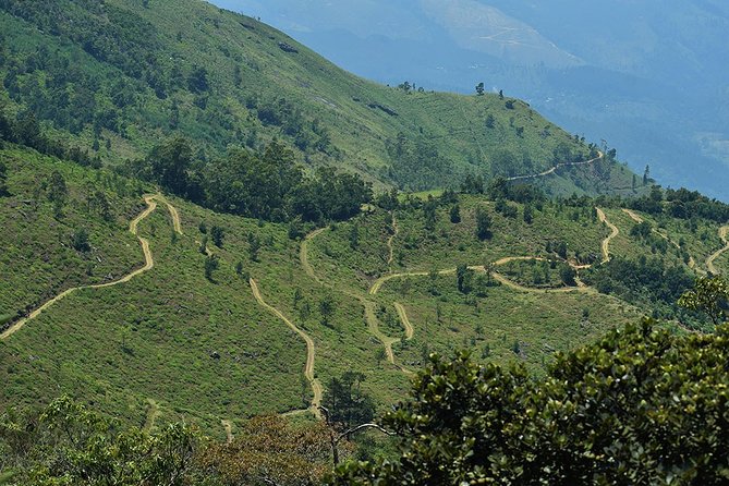Guided Hike to The Devils Staircase - Hiking Difficulty Level