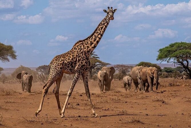 Guided Hiking at Mt Longonot - Inclusions and Costs