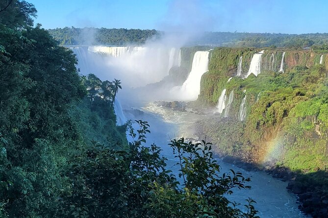 Guided Tour Iguaçu Falls-Brazil and Parque Das Aves - Parque Das Aves Encounter