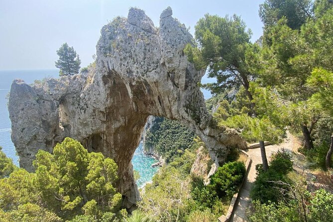 Guided Tour of Capri, Hydrofoil and Bus Included for Small Groups - Tour Inclusions