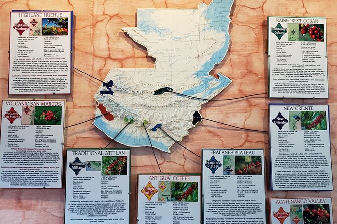 Guided Tour of Coffee Plantation - Tour Location and Meeting Point