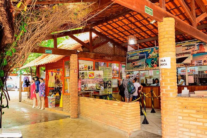 2 Best Guided Tours In Maceio