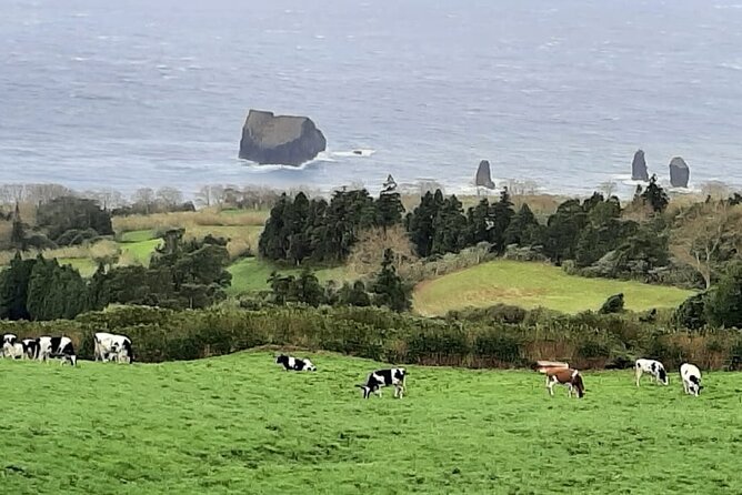 Guided Visit to the Crater and Volcano of Lagoa Das Sete Cidades - Reviews